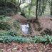 St Dyfnog Well Project (@stdyfnogproject) Twitter profile photo St Dyfnog Well Project (@stdyfnogproject) Twitter profile photo