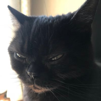 BJ25138173's profile picture. 千代田区の行政書士です。一応、国際業務をメインにしていますが、色々なご相談を頂きまして有難うございます🐈‍⬛いつまでもリスクテイクしていきたいおじさん(〃ω〃) ダーツは永遠のBフラ