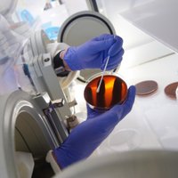 York Biol Research (@yorkbiolres) Twitter profile photo