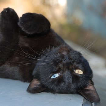 gBFSBWyGxGhTHjs's profile picture. 趣味は読書です、最近はパーソナリティ障害に関連する本読んでます。 妄想性・失調型・シゾイド・境界性パーソナリティに興味あり。