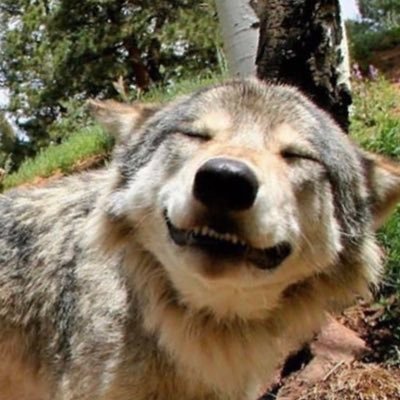 mist_silv's profile picture. |ทวิตไว้บ่น|