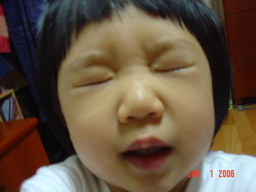 서울, 부천, 조사쟁이