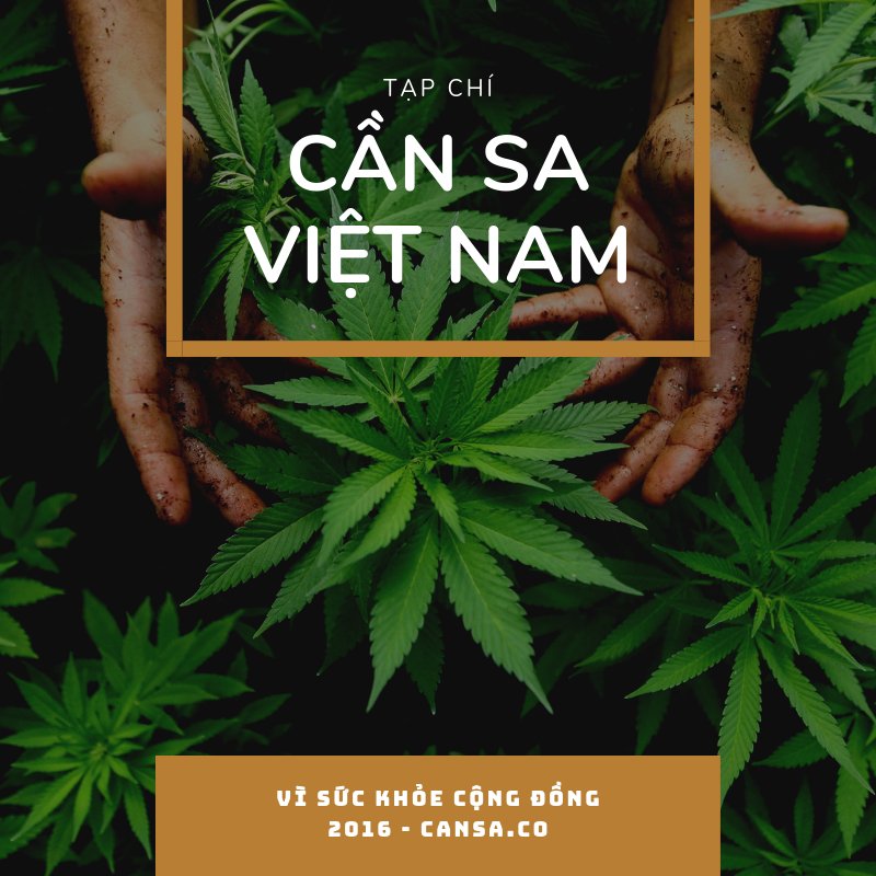 Tạp chí Cần sa Việt Nam