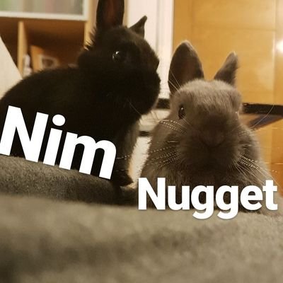 Nim 🖤🐰 & Nugget 💜🐰