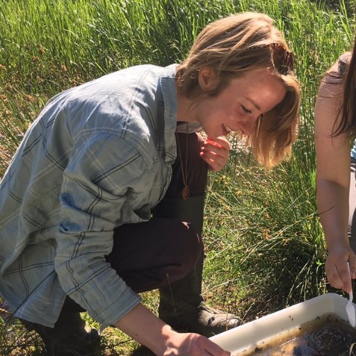 _beesandtrees's profile picture. 🌻🌿🌲🐝🦋🌈💛