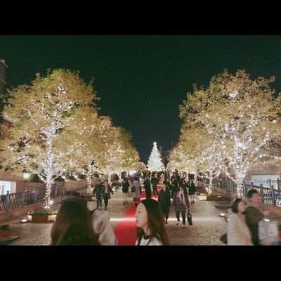 長野県→慶應→Big4