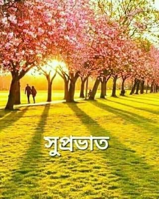 DhritiMukherje4's profile picture. Iives at nalhati