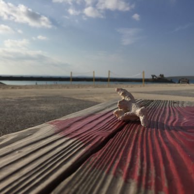 25↑/雑食/腐女/今この垢はROM専用、閲覧用垢です/全ての神々に五体投地の感謝しかねえです/2025 いまだ深く 沼の底/入村して狂骨になってからというもの正気と理性が帰って来ません。見つけた方は教えて下さい。トドメさします
