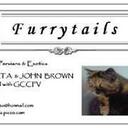 Roberta Brown - @furrytails - Twitter