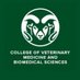 CSUVetMed&BioScience (@CSUVetMedBioSci) Twitter profile photo