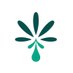 Accelerate Cannabis (@acceleratecanna) Twitter profile photo Accelerate Cannabis (@acceleratecanna) Twitter profile photo