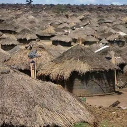 AgencyUmoja's profile picture. Umoja Development Agency is a Charity Organisation, based in Gulu. Empowering Women, Children & Youth in the fields of Health, Education & Development.