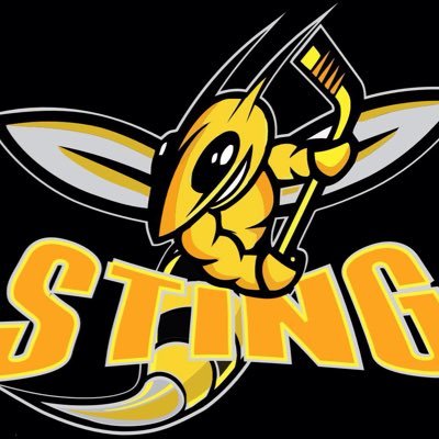 Northern Sting Hockey Club