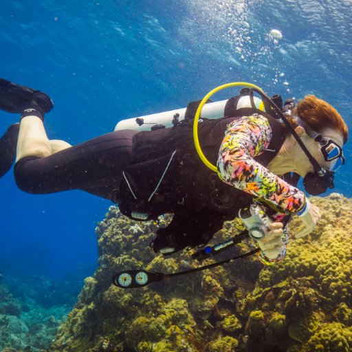 Mother, grandmother, great-grandmother, diver, runner, adventurer, attorney who wants the world to be a better place for future generations