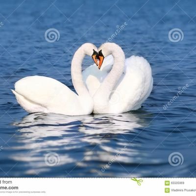 SamuelYedla's profile picture. 