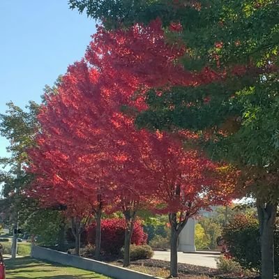 atvlogos's profile picture. 