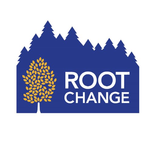 Root Change designs the products, technologies, and interactive experiences that help people discover and invest in their own solutions.