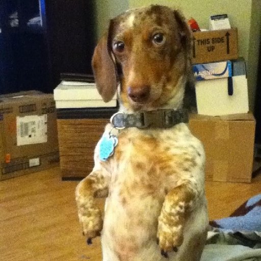 BuchingerJr's profile picture. I began drawing as a child out of boredom. I used what was available to me which was usually a notepad and a pencil or pen. Over the years, I've graduated from