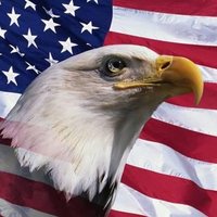 The Common Sense American Podcast(@TheCommonSens15) 's Twitter Profile Photo