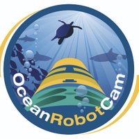OceanEye(@oceanrobotcam) 's Twitter Profileg