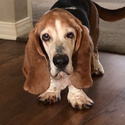 wyebloc's profile picture. “It is not inequalities that kill, but those who benefit from the inequalities that kill.” -Vicente Navarro