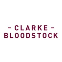 Clarke Bloodstock(@ClarkeBstock) 's Twitter Profile Photo