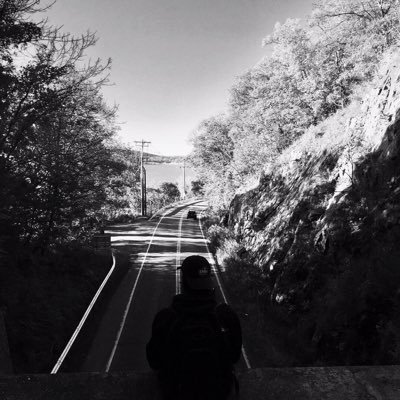 damhamandcheese's profile picture. kill me