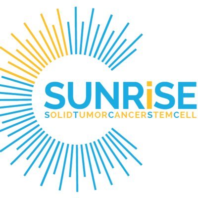 The Solid TUmor CaNceR Stem cEll network, (SUNRiSE) aims to bring together scientists with a common interest for the cancer stem cell field in solid tumors.