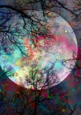 Rouxan6's profile picture. Siempre al frente