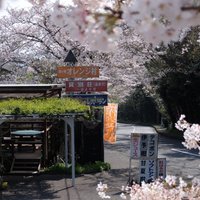 城ヶ崎オレンジ村 (@qo2sooaezllqa7g) 's Twitter Profile