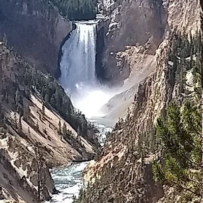 rtoh's profile picture. My views. Retweets ≠ endorsement.
Satire is created for the cluelessly powerful. Now it's also for the journalists in media.