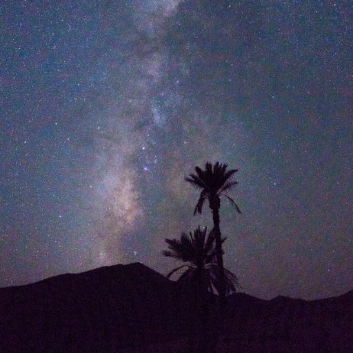 zoo_berry's profile picture. 