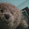 noggenfloggen's profile picture. I'm a bear bit I'm bullish!😍