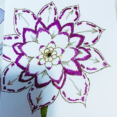 ruthed17's profile picture. I follow people who have views that I do not in anyway support, and I follow other people too # Be nice!