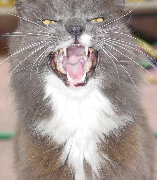 rainmakermark's profile picture. Loving it all