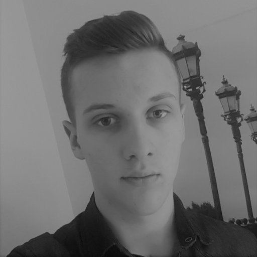 LEDANOISThibau1's profile picture.