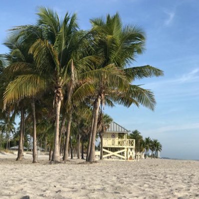 DanielaIuri's profile picture. 