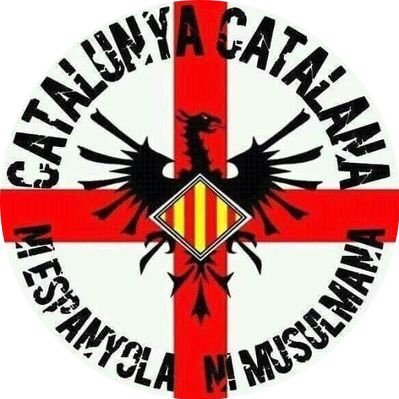 Patriota català de pedra picada. Anti-nyordo, anti-islam i anti-giliprogremulticulti. Canya contra Espanya! 👊🏼