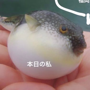Tri ラッキー 寄生虫ミドリムシ Richgreenmushi Twitter
