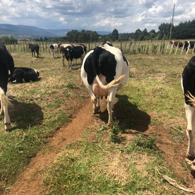 drjohnngeno's profile picture. 