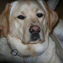 Dan Michelini - @wdmich - Twitter