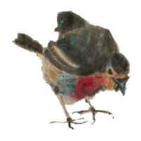 cristina barcala (@eritacus) 's Twitter Profile Photo cristina barcala (@eritacus) 's Twitter Profile Photo