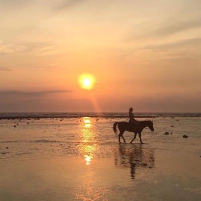 naughtynikolaw's profile picture. 