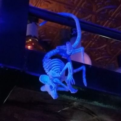 Screaming909's profile picture. Fine Art Photographer, Bookmaker, and Cautious Optimist