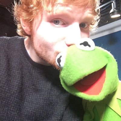 @TaylorSwift @EdSheeran 洋楽全般 ポップパンク↩︎おし フォロバします フォローお願い