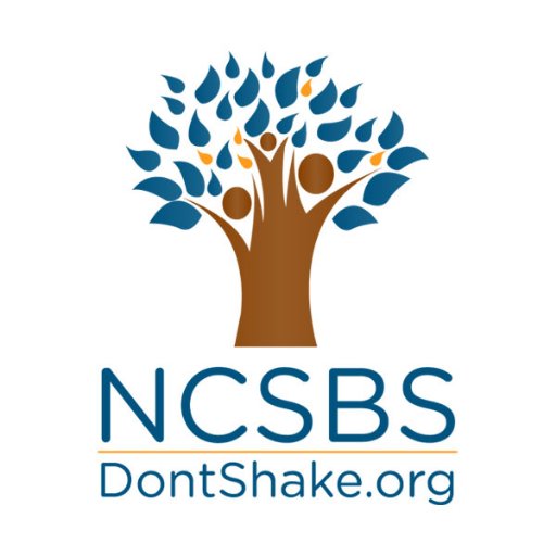 The NCSBS' vision is to eradicate Shaken Baby Syndrome and improve the overall care of infants.