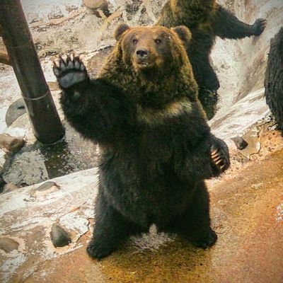 m_yukimasa0701's profile picture. 伊勢→札幌→大阪→札幌