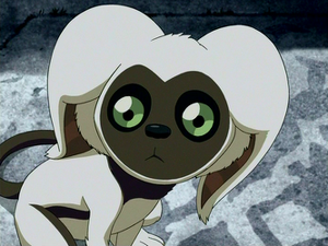 LooksLikeBat's profile picture. Aangs pet and loves to snuggle with Katara and Aang. Traveling with Aang :)