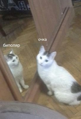 sayanaraboy's profile picture. йоу, это тот самый køt