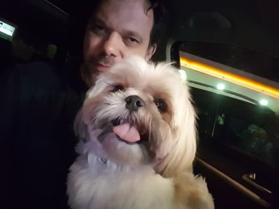 Rzaffari11's profile picture. 